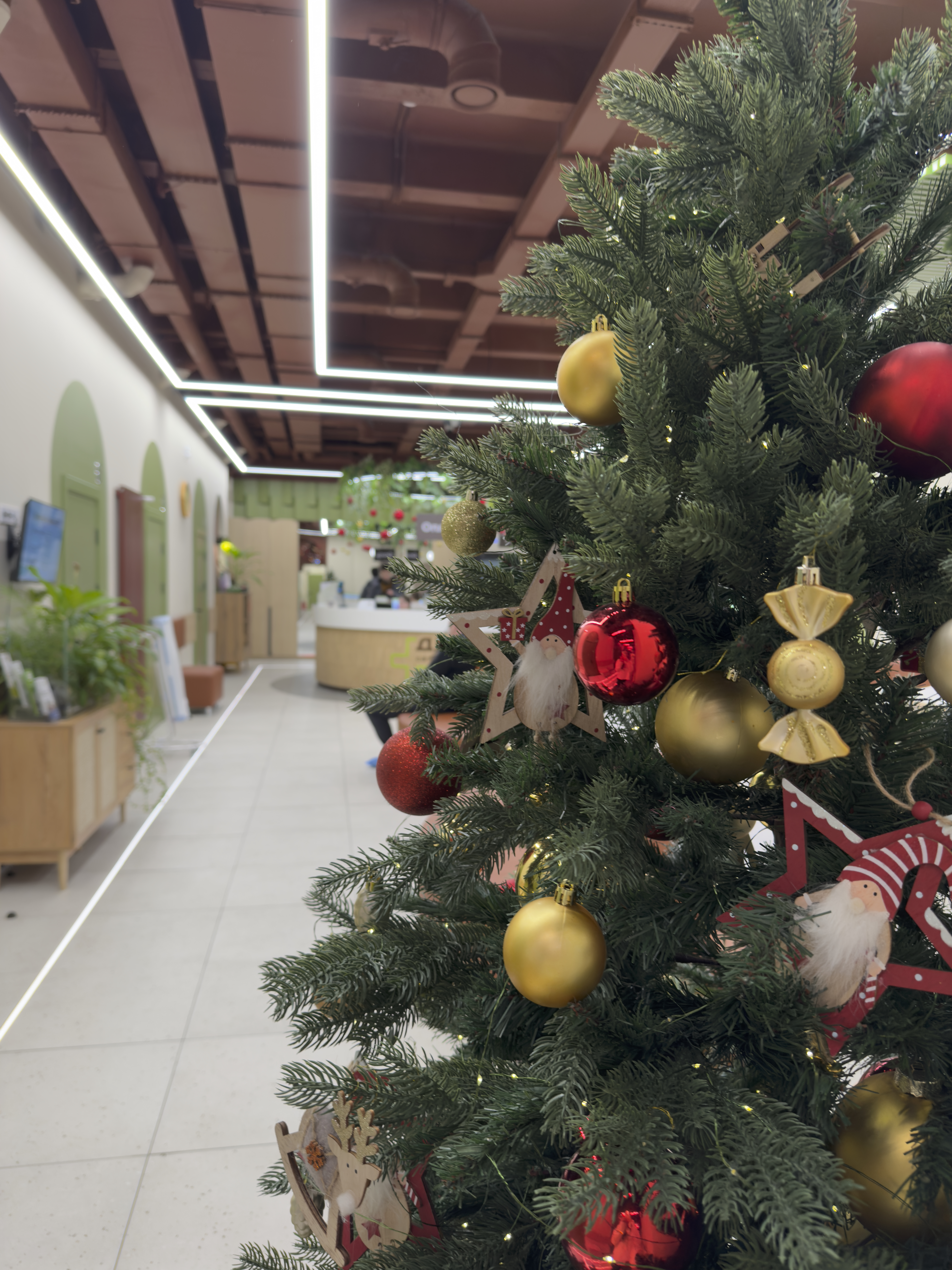 Режим работы «Династии» в новогодние праздники