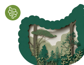 ФГДС+ФКС под наркозом