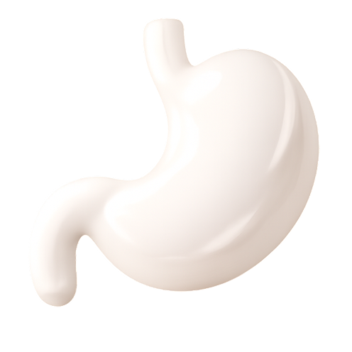 Гастроэнтерология